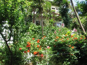 Aris Hotel