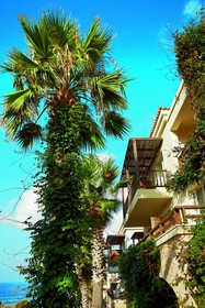 Grecotel Marine Palace & Aqua Park