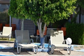 Hotel Myrtis