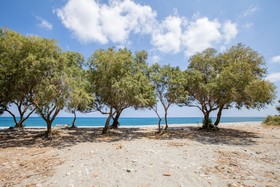 Aadonis Villa