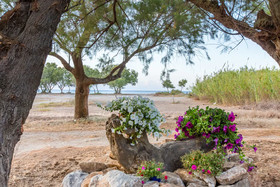Aadonis Villa