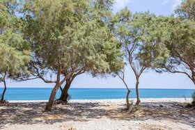 Aadonis Villa