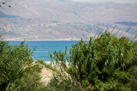 Aadonis Villa