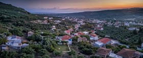 Apithano