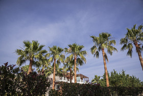 Athina Luxury Villas