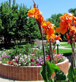 Cathrin Apartments and Studios