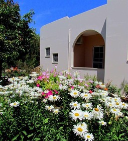 Cathrin Apartments and Studios