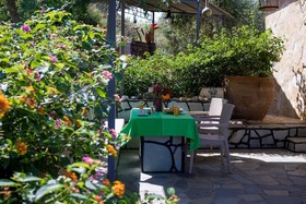 The Olive House