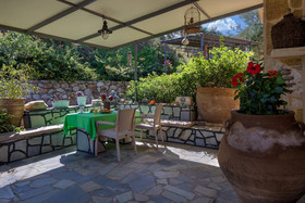 The Olive House