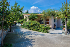 The Olive House