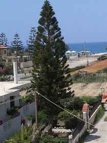 Hotel Amaril