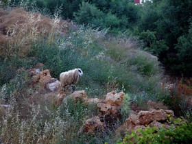 Villa Eleonora
