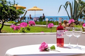 Alkionis Beach Hotel