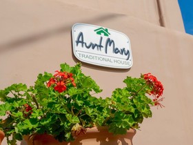 Aunt Mary