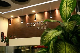 Cosmos