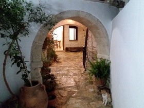 Grandma's House