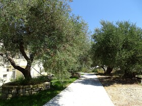 Lyrids Apartments