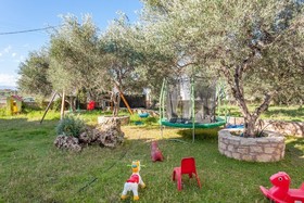 Olive Tree Farm