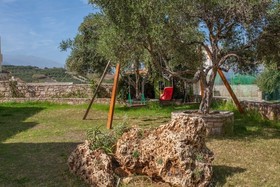 Olive Tree Farm
