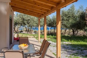 Olive Tree Farm