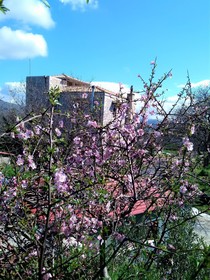 Villa Ermis