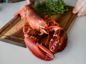 Grecotel LUXME White
