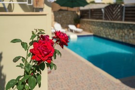 Villa Apollon Crete II