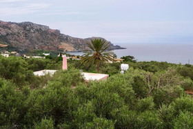 Palm Beach Houses