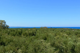 Villa Arsinoi