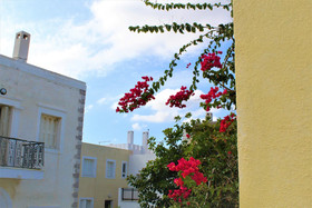One And Only Apartments