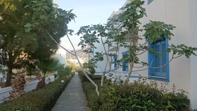 Amazones Villas Apartments