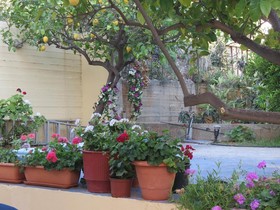 La Luna Apts