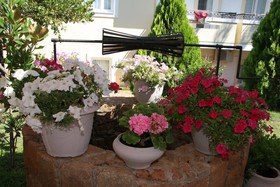 Nikos Apartments