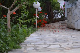 Nikos Apartments