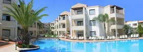 Creta Palm