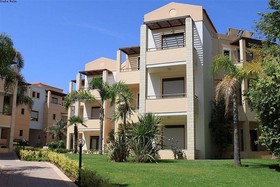 Creta Palm