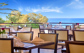 Creta Palm