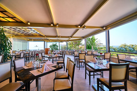 Creta Palm