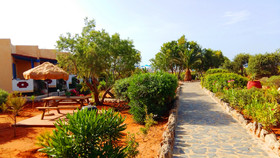 Hotel Zorbas Beach Village