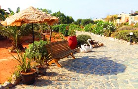 Hotel Zorbas Beach Village