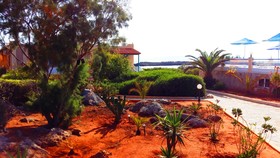 Hotel Zorbas Beach Village