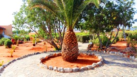 Hotel Zorbas Beach Village