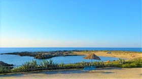 Hotel Zorbas Beach Village