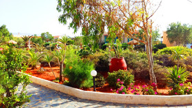 Hotel Zorbas Beach Village