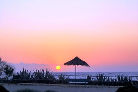 Hotel Zorbas Beach Village