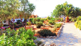 Hotel Zorbas Beach Village