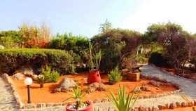 Hotel Zorbas Beach Village