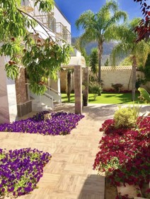 Paradice Hotel