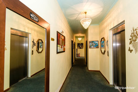 Paradice Hotel