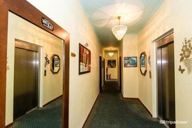 Paradice Hotel